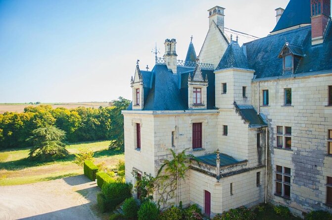 Picnic in the Vines - A Unique Loire Wine Experience - Key points to know before booking