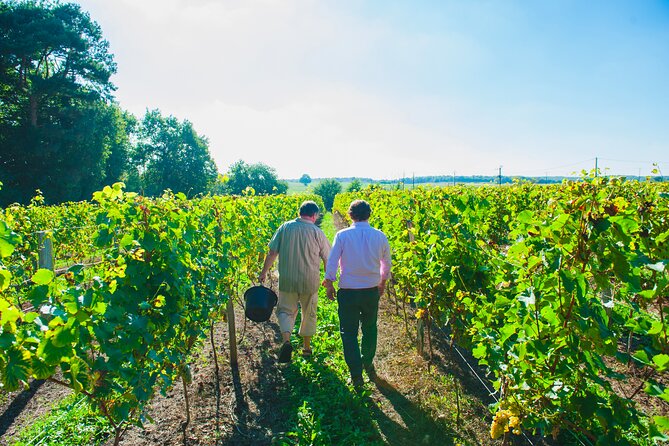 Picnic in the Vines - A Unique Loire Wine Experience - A family château near Chinon