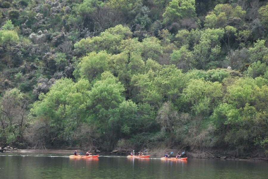 Pinhão: 4 Hour Douro Valley Kayak Rental - What the vineyard views look like from the water