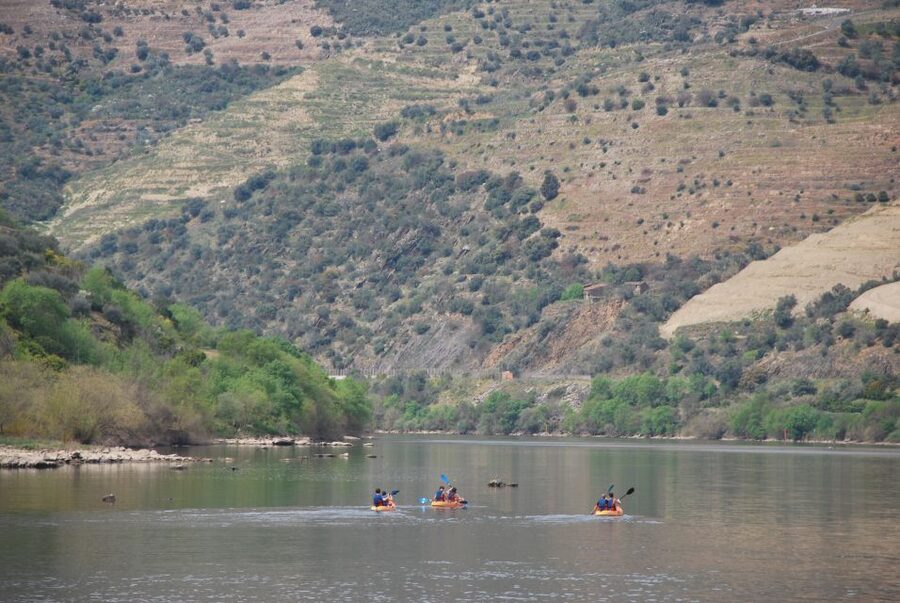 Pinhão: 4 Hour Douro Valley Kayak Rental - Should you book the Pinhão kayak rental?