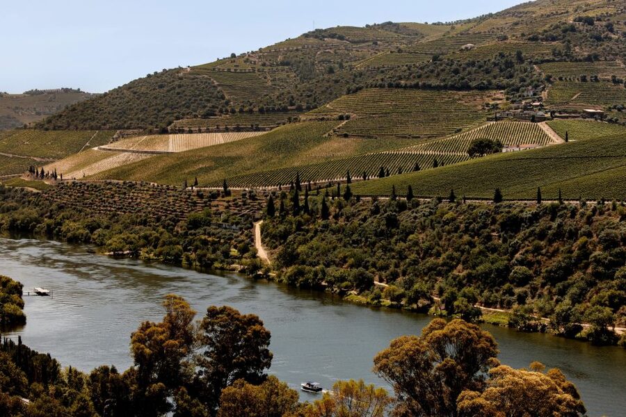 Pinhão: Douro River Boat Tour with Lunch - Returning by train beside the river