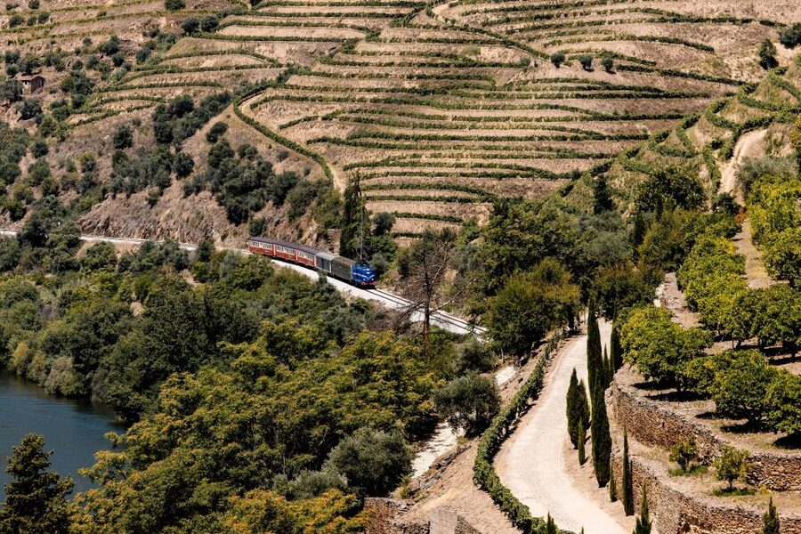 Pinhão: Douro River Boat Tour with Lunch - Is $80 a good value?