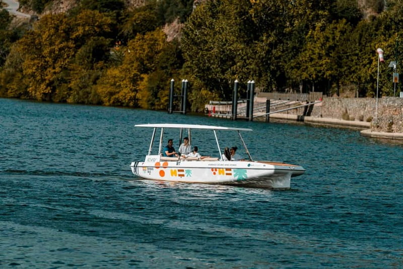 Pinhão: Douro River Solar Boat Tour with Wine Tasting - Why the silent boat changes the Douro experience