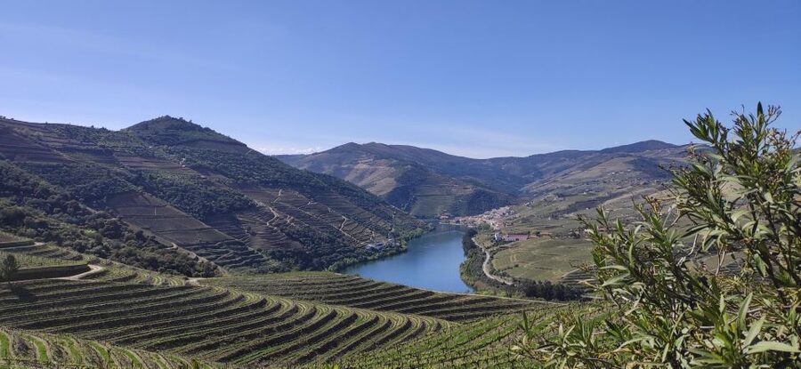 Pinhão: Douro Valley with Wine Tasting, Boat Trip and Lunch - Why this Pinhão tour works so well