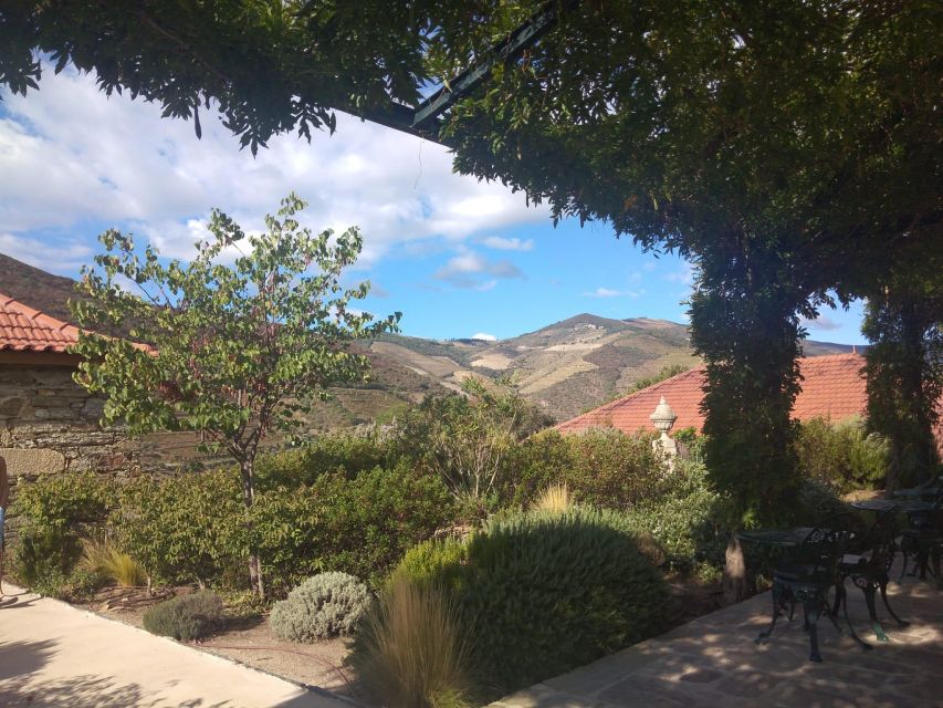 Pinhão: Douro Valley with Wine Tasting, Boat Trip and Lunch - A second winery with three more wines