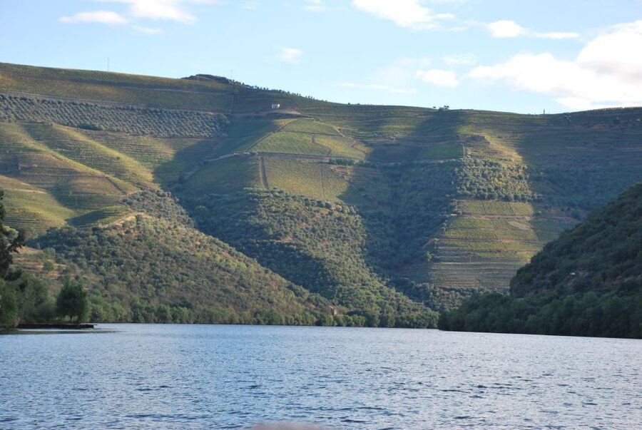 Pinhão: Private Rabelo Boat Tour along the River Douro - Who Will Enjoy This River Ride Most