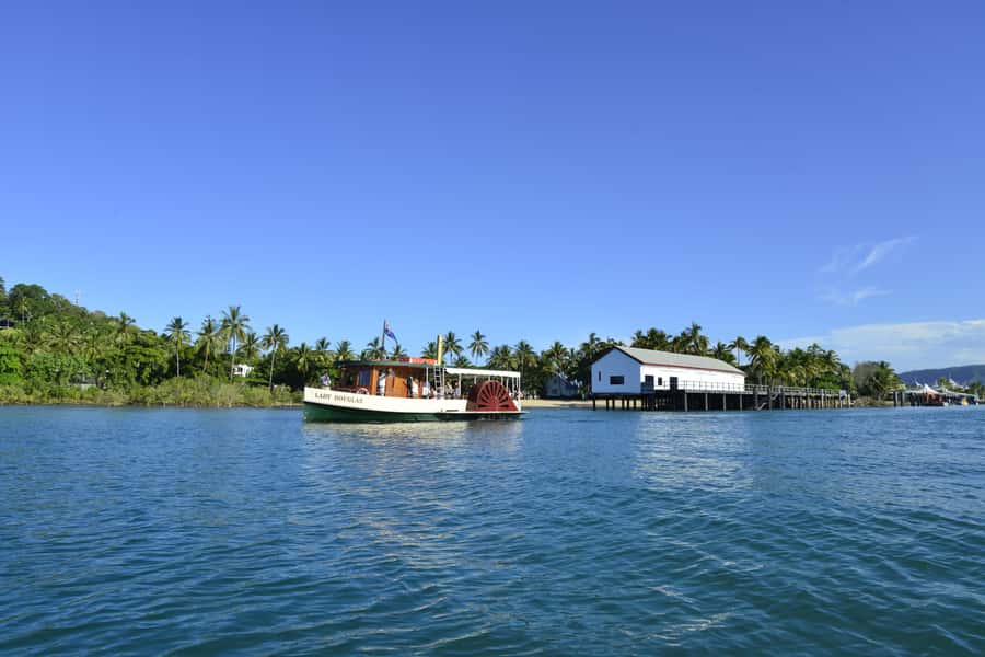 Port Douglas: River Cruise, Crocodile Spotting, Drink/ Snack - Exploring Dickson Inlet and the crocodile search