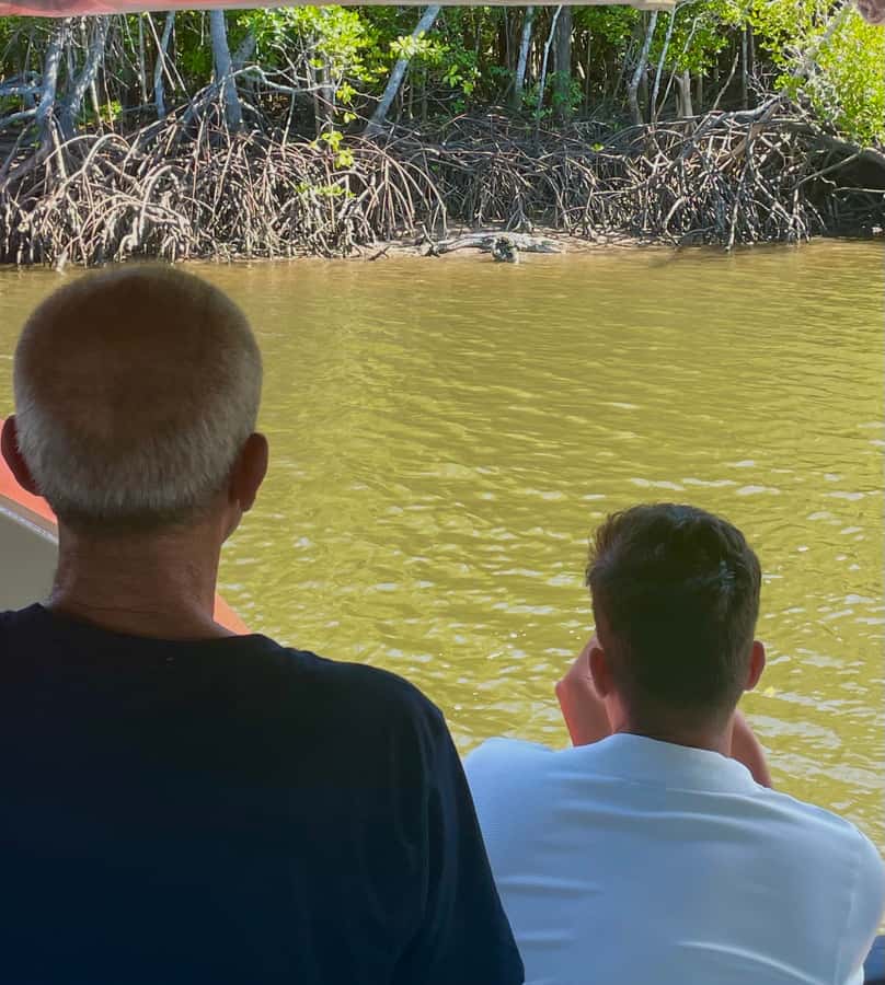 Port Douglas: River Cruise, Crocodile Spotting, Drink/ Snack - Booking value and practical details