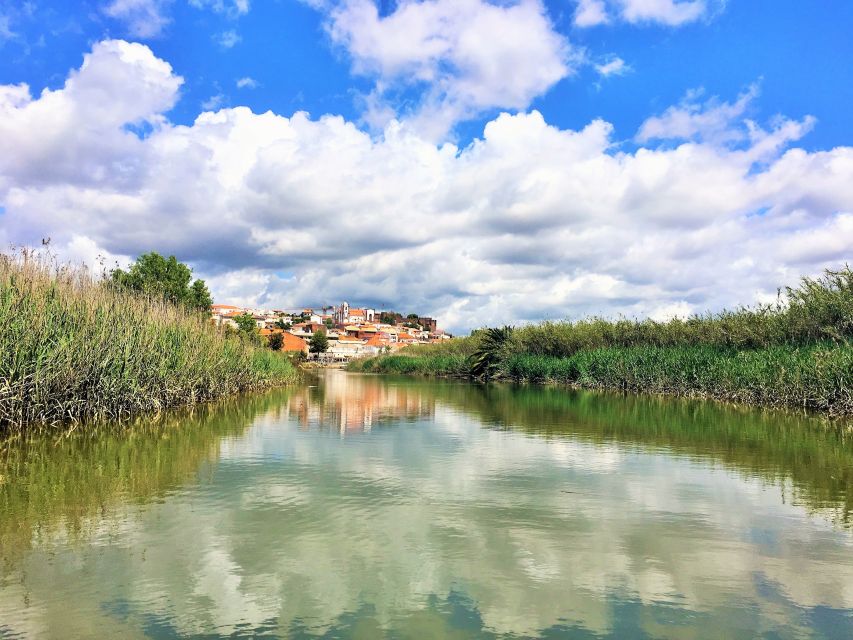 Portimão: Silves & Arade River History Tour on a Solar Boat - Is the $49 price good value?