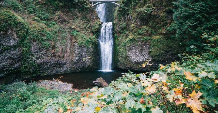 Portland: Columbia River Gorge Waterfalls Afternoon Tour - Is $85 a fair price?
