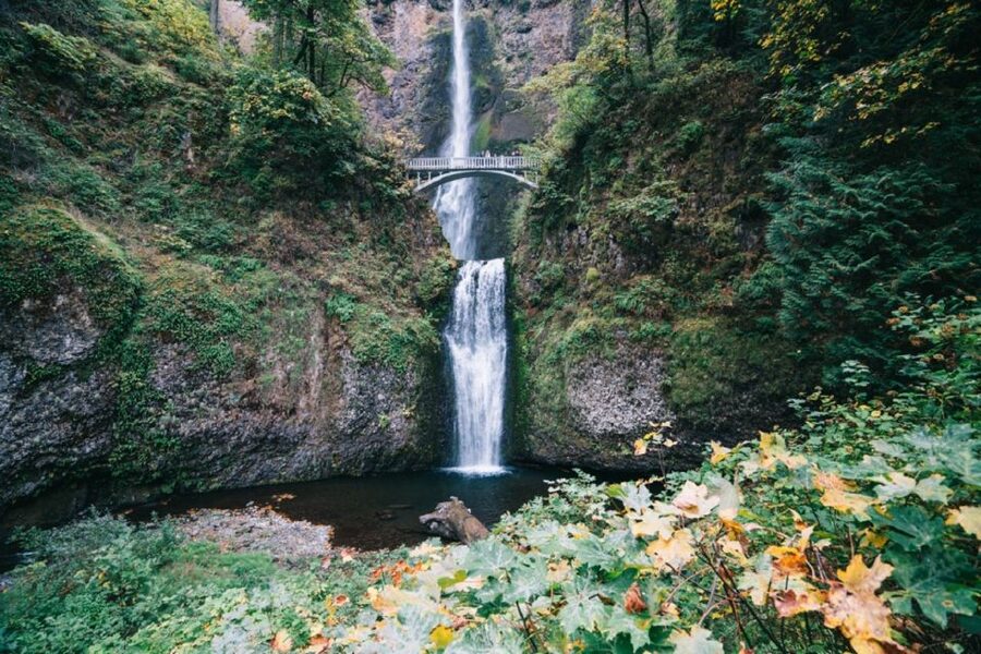 Portland: Columbia River Gorge Waterfalls Afternoon Tour - Portland Women’s Forum and the first big view