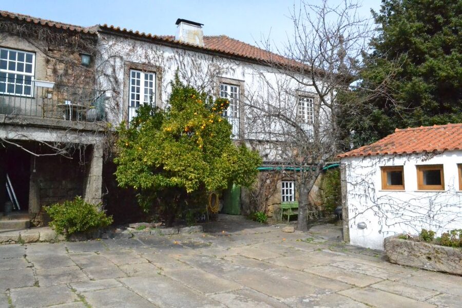 Porto: 3 Douro Valley Vineyards Tour with Lunch - Key points to know before booking