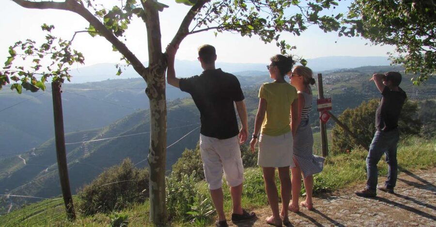 Porto: 3 Douro Valley Vineyards Tour with Lunch - Why this Douro Valley day works so well
