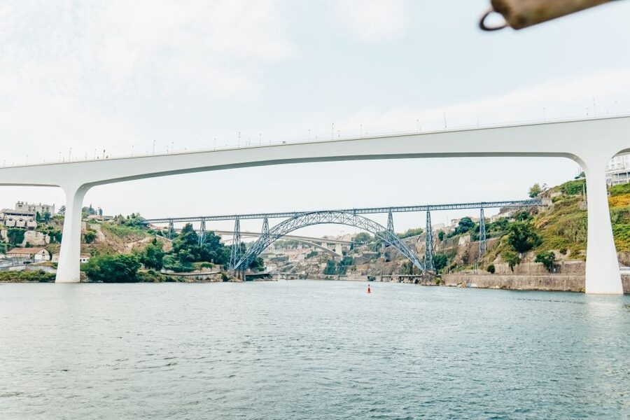 Porto: 6 Bridges Douro River Cruise - Upstream to Freixo, then back toward the Atlantic