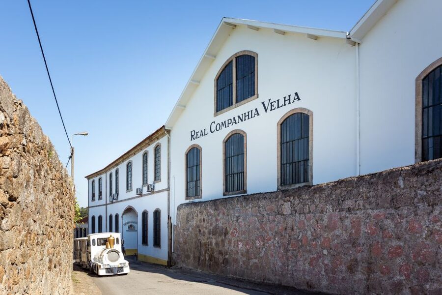Porto: City Train Tour, River Cruise & Wine Cellar - The Douro cruise reveals Porto’s strongest views