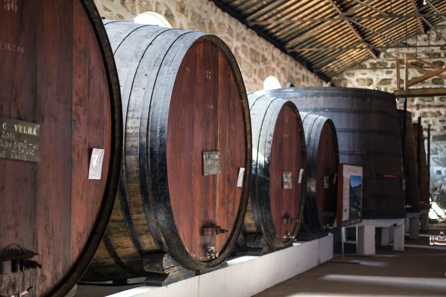 Porto: City Train Tour, River Cruise & Wine Cellar - One day or two changes the pace