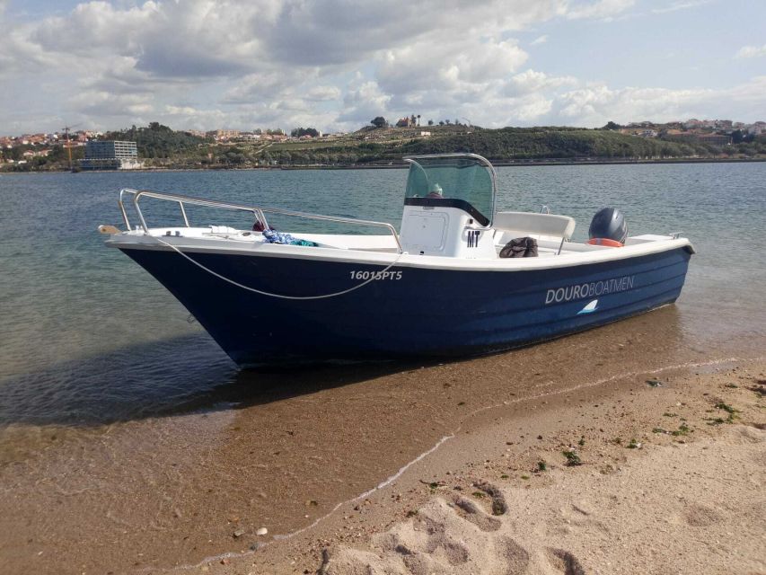 Porto: Douro River Cruise w/ Portuguese Wines & Local Host - Reaching Foz do Douro and the Atlantic