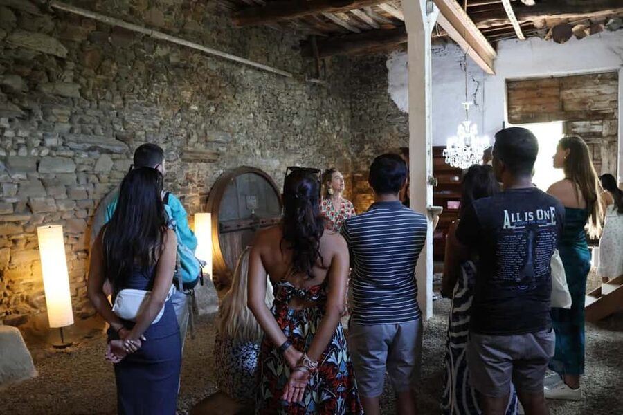 Porto: Douro Valley, 2 Wineries, Lunch, and 1-Hour Boat Tour - Should you book the Douro Valley day trip?