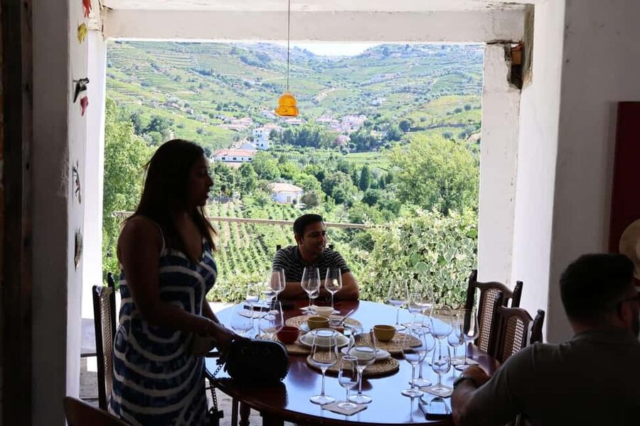 Porto: Douro Valley, 2 Wineries, Lunch, and 1-Hour Boat Tour - Who should book this experience?