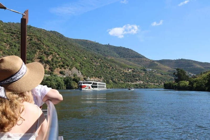 Porto: Douro Valley, 2 Wineries, Lunch, and 1-Hour Boat Tour - The morning drive and Provesende tasting