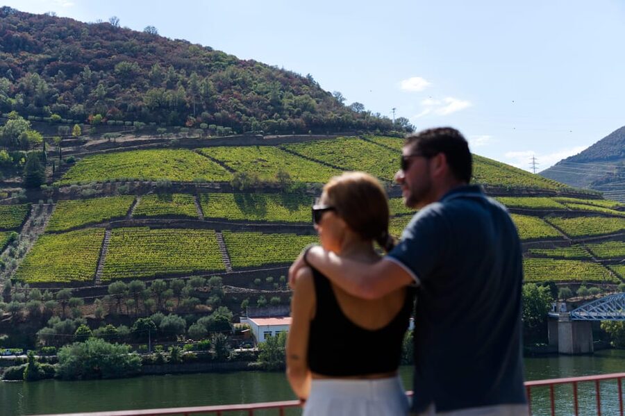 Porto: Douro Valley & Amarante Wine, Food & River Tour - At a glance: what makes this day trip worth considering