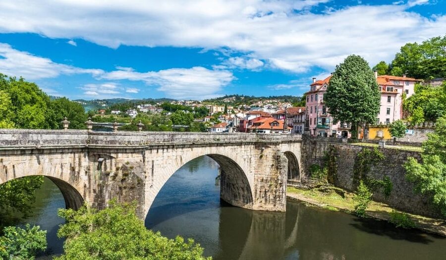 Porto: Douro Valley & Amarante Wine, Food & River Tour - Guides, vans, and the small-group difference