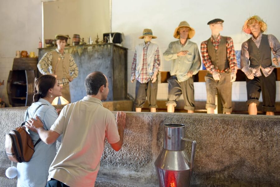 Porto: Douro Valley Day Trip with Lunch and Favaios Village - Lunch at Quinta da Avessada