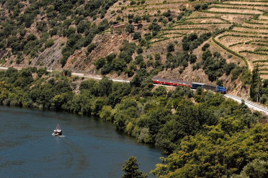Porto: Douro Valley Full-Day Boat, Train, and Lunch Tour - Pinhão and the Douro boat cruise