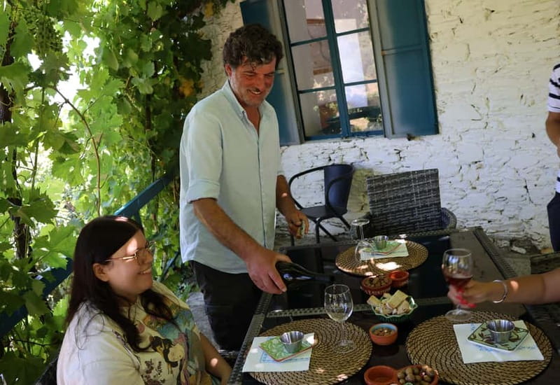 Porto: DOURO VALLEY Half-day Tour - Key points to know before booking