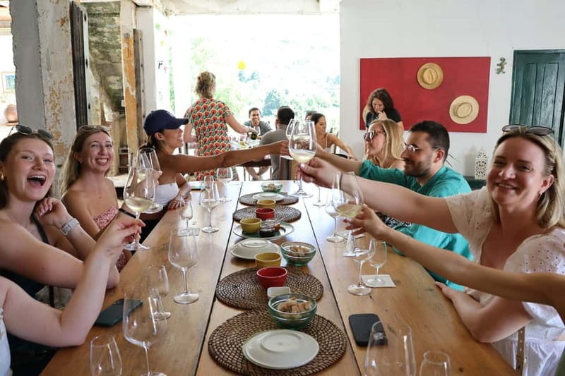 Porto: DOURO VALLEY Half-day Tour - Who should book this Douro Valley half-day tour?