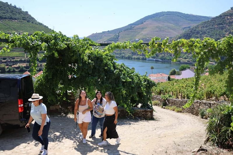 Porto: DOURO VALLEY Half-day Tour - Is six to seven hours really enough?