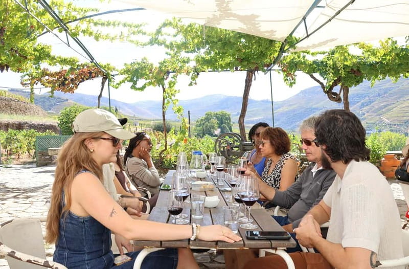 Porto: DOURO VALLEY Half-day Tour - Food, timing, and practical preparation