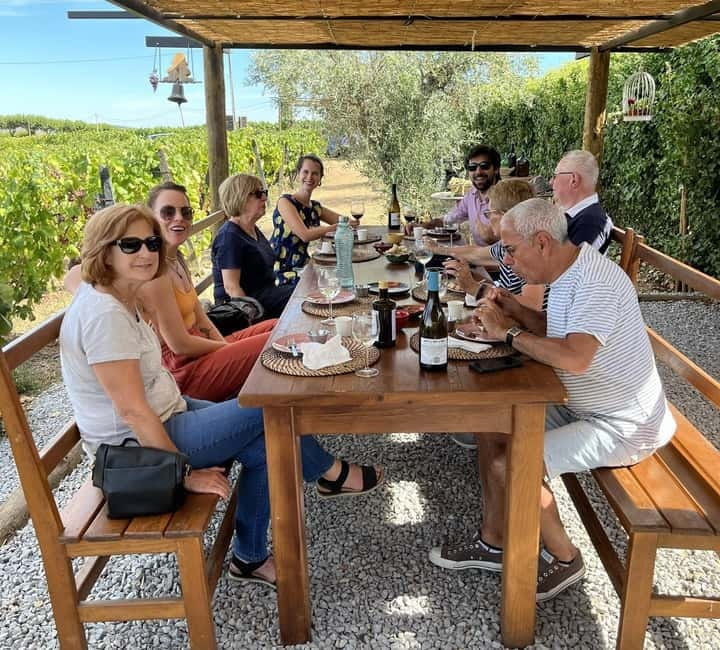 Porto: DOURO VALLEY Half-day Tour - The guides and the human side