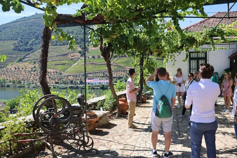 Porto: DOURO VALLEY Half-day Tour - Two hours among Douro vineyards and river views
