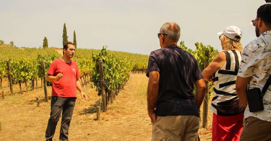 Porto: Douro Valley History & Wine Tour with Cruise & Lunch - Key points to know before booking