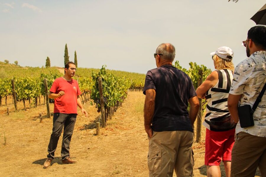 Porto: Douro Valley History & Wine Tour with Cruise & Lunch - Why this Douro Valley day works