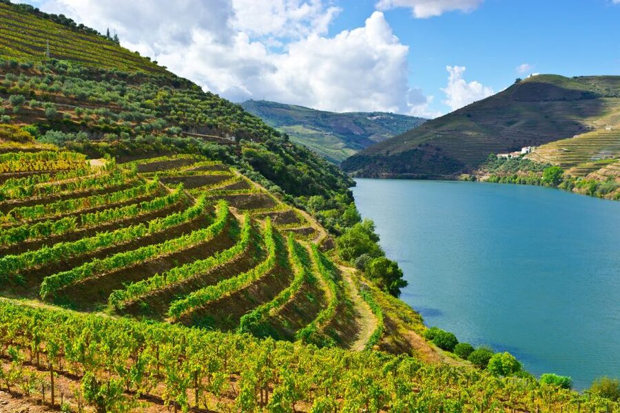 Porto: Douro Valley History & Wine Tour with Cruise & Lunch - Amarante: a good first stop, but too brief for some