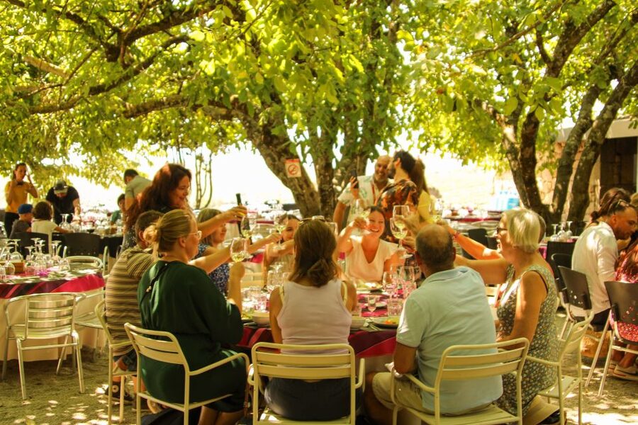 Porto: Douro Valley History & Wine Tour with Cruise & Lunch - Pinhão and the one-hour Rabelo boat ride
