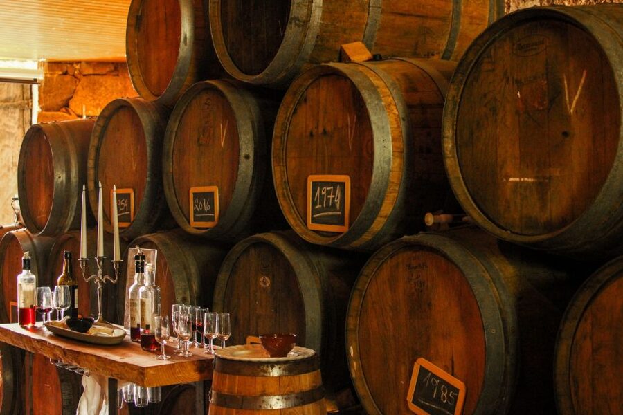 Porto: Douro Valley History & Wine Tour with Cruise & Lunch - The ride back to Porto
