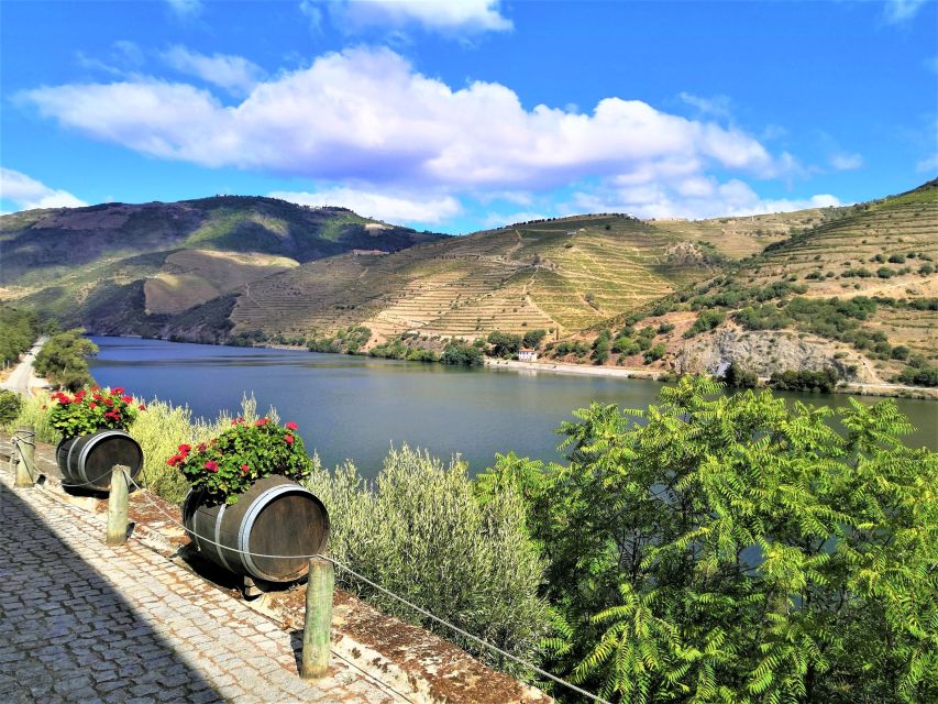 Porto: Douro Valley Private Grand Experience - Private - Practical details that affect your day