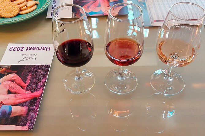 Porto: Douro Valley Private Grand Experience - Private - The first view, high above the Douro