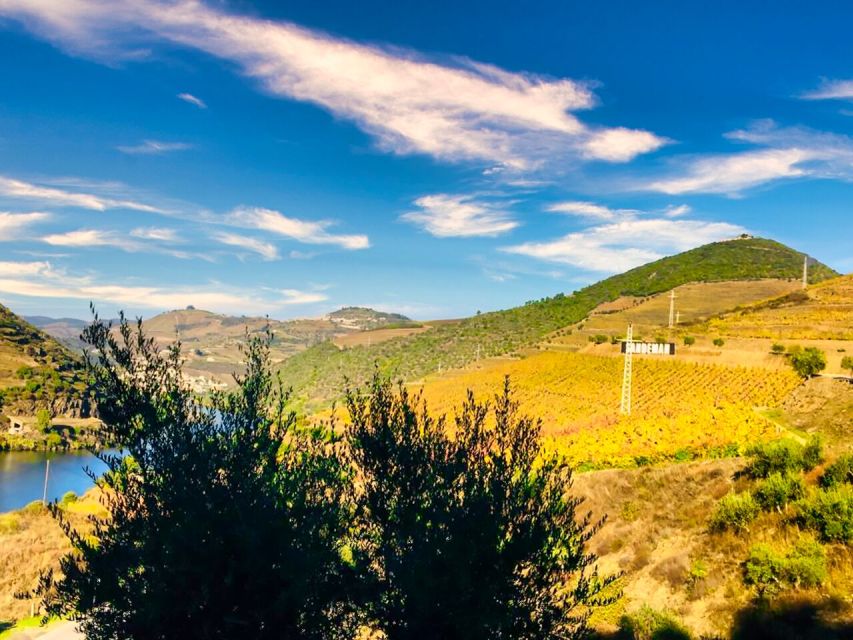 Porto: Douro Valley Private Tour 2 Vineyards & River Cruise - Should you book it?