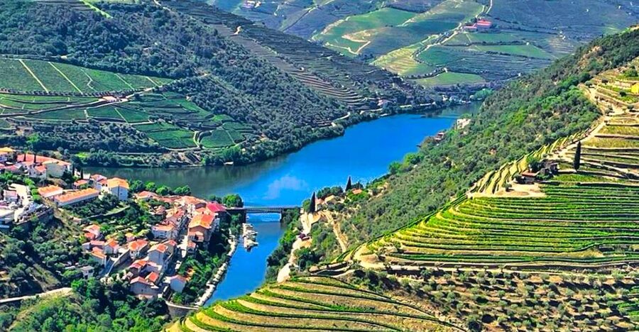 Porto: Douro Valley Private Tour 2 Vineyards & River Cruise - From Porto to the N222