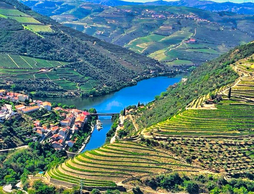 Porto: Douro Valley Private Tour 2 Vineyards & River Cruise - Lunch above the terraced vineyards
