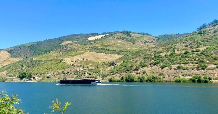 Porto: Douro Valley Private Tour 2 Vineyards & River Cruise - Two vineyards, three kinds of tasting