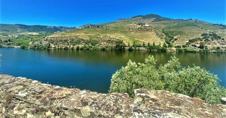 Porto: Douro Valley Private Tour 2 Vineyards & River Cruise - São Cristóvão do Douro and the viewpoint stops