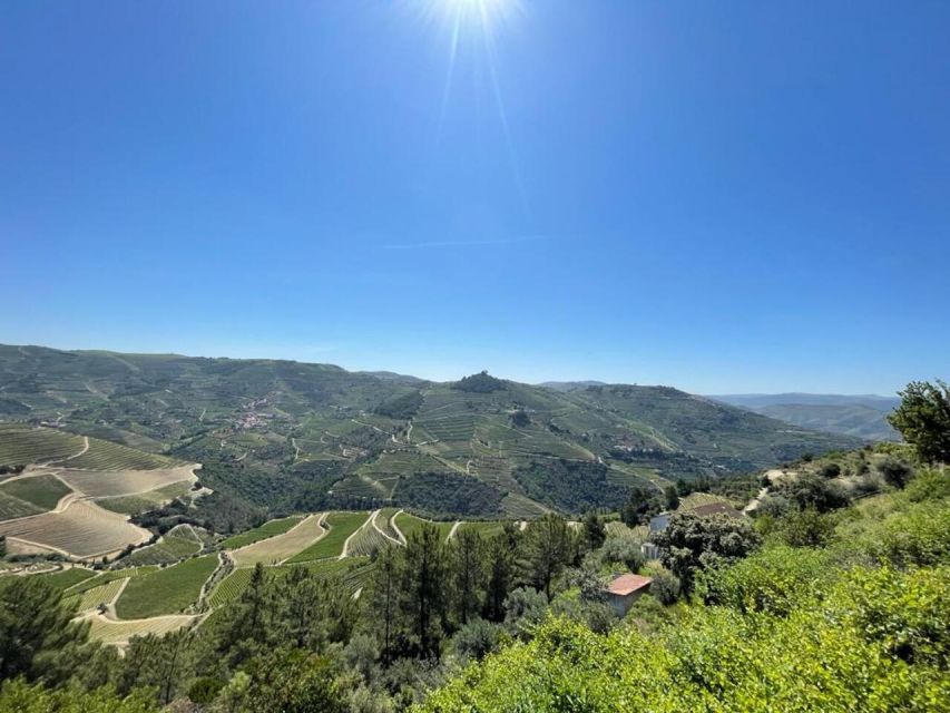 Porto: Douro Valley Private Tour 2 Vineyards & River Cruise - What the private price really buys you