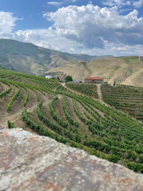 Porto: Douro Valley Private Tour 2 Vineyards & River Cruise - Pinhão and one hour on the Douro