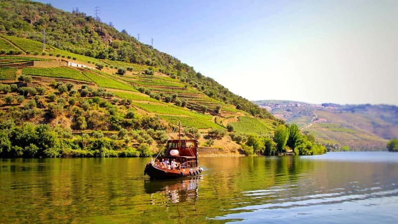 Porto: Douro Valley Tour at 2 Wineries with Lunch and Cruise - Why this Douro day works so well from Porto