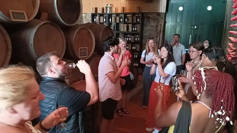 Porto: Douro Valley Tour at 2 Wineries with Lunch and Cruise - Should you book this Douro Valley tour?